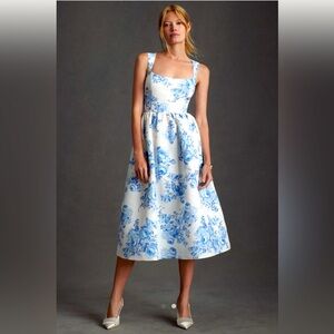 Anthropologie Sachin + Babi blue chinoiserie dress.
